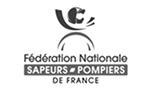 Logo federation nationale sapeurs pompiers secteur sante
